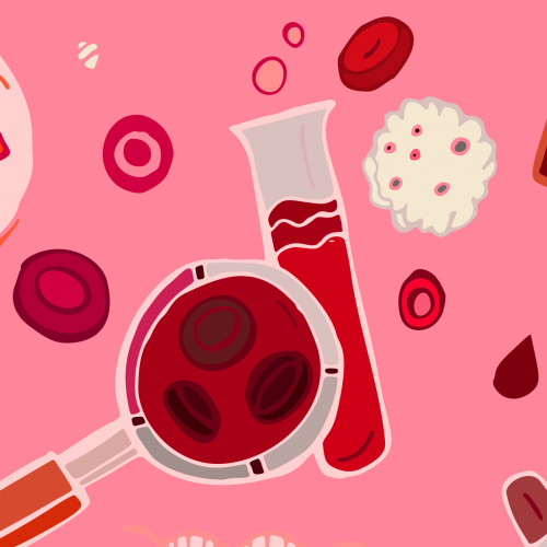 Bannerbild_Eisenmangel_Ferritin_Blog_1024x341px