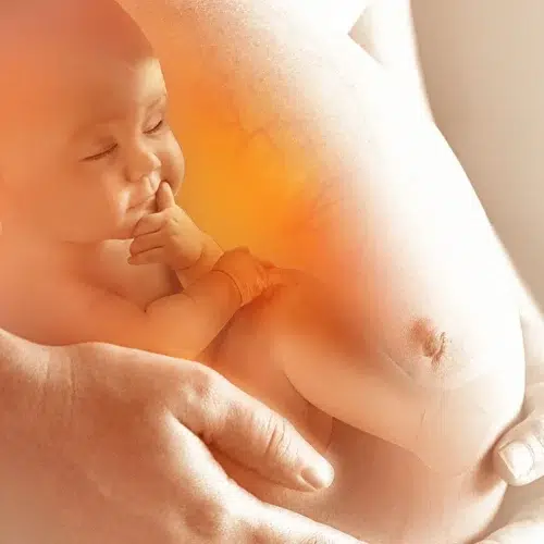 Folsäure bei Kinderwunsch und Schwangerschaft Beitragsbild | MensSana Themenwelt